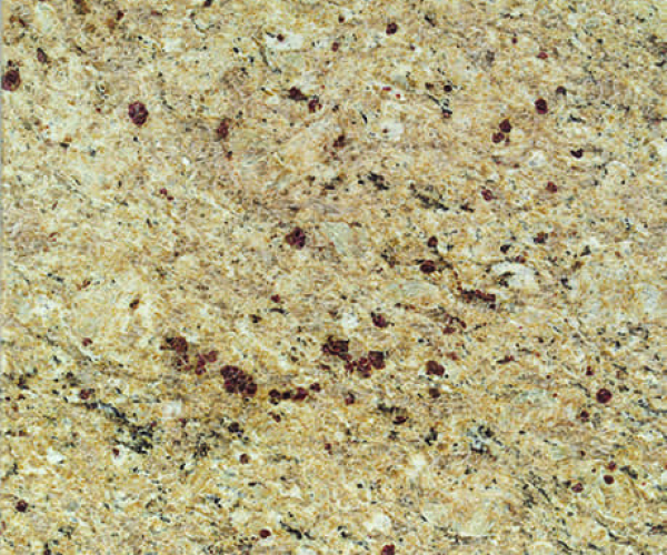 New Venetian Gold G215 Polished Daltile Tiles Artistic Granite